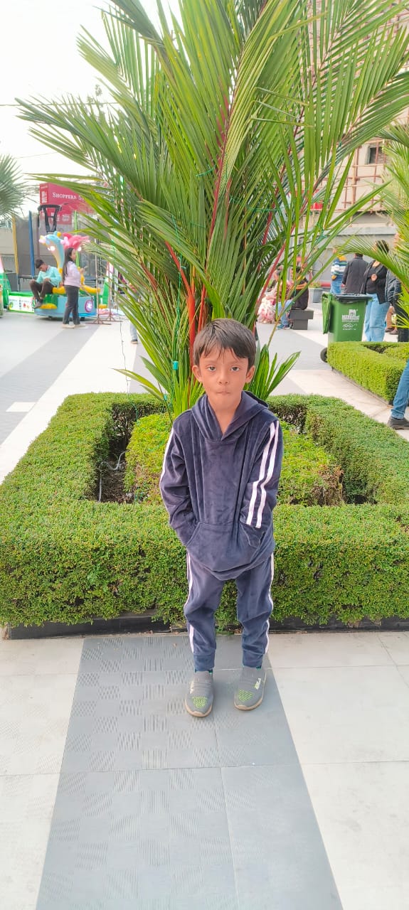 Image gallery marquee